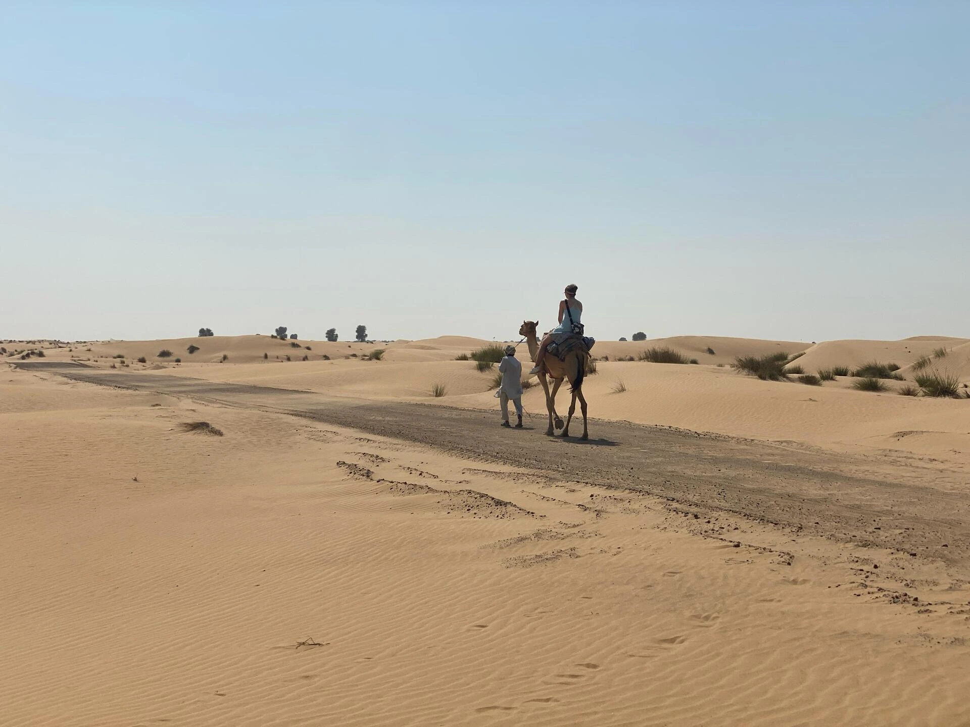 Desert journey on camelback